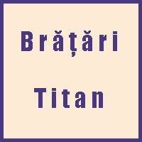 Brățară din titan